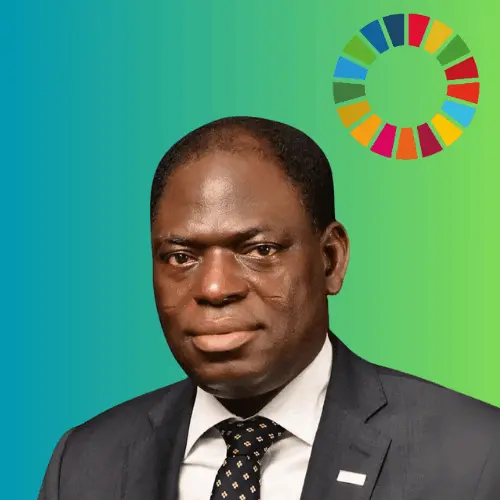 ImPPPact Nigeria Adeboye Adegbemi