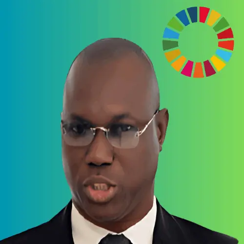 ImPPPact Nigeria Segun Adams